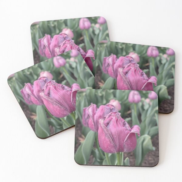 Item preview, Purple tulip, almost spent designed and sold by Amy Farley.