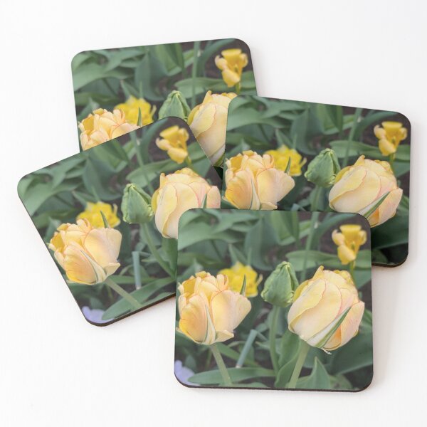 Item preview, Twin Yellow Tulips designed and sold by Amy Farley.