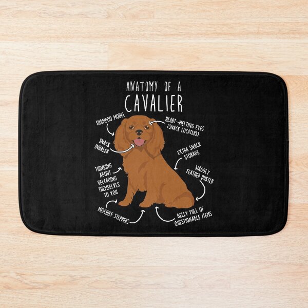 Item preview, Ruby Cavalier King Charles Spaniel Dog Anatomy designed and sold by Clara Hollins.