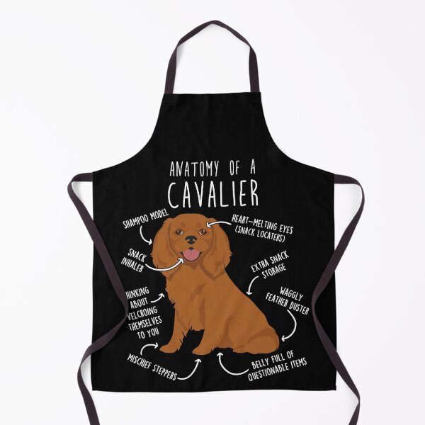 Item preview, Ruby Cavalier King Charles Spaniel Dog Anatomy designed and sold by Clara Hollins.