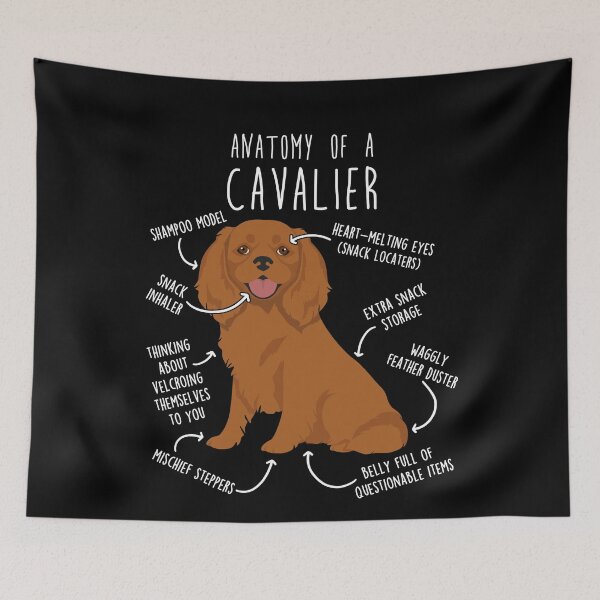 Item preview, Ruby Cavalier King Charles Spaniel Dog Anatomy designed and sold by Clara Hollins.