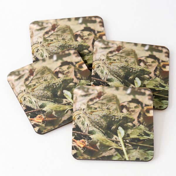 Item preview, Cricket frog  designed and sold by Parks and X.