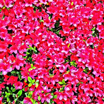 Artwork thumbnail, Pink Azaleas by OneDayArt