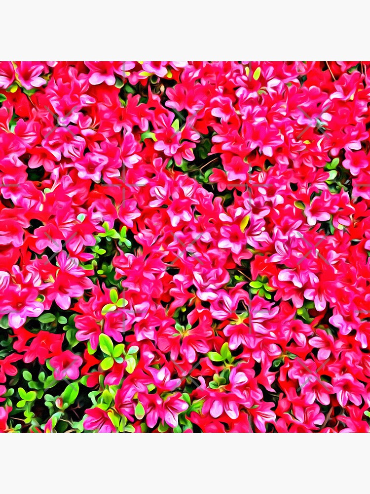 Thumbnail 3 of 3, Sticker, Pink Azaleas designed and sold by OneDayArt.