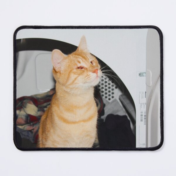 Item preview, Symba helping with laundry designed and sold by JanelSymba.