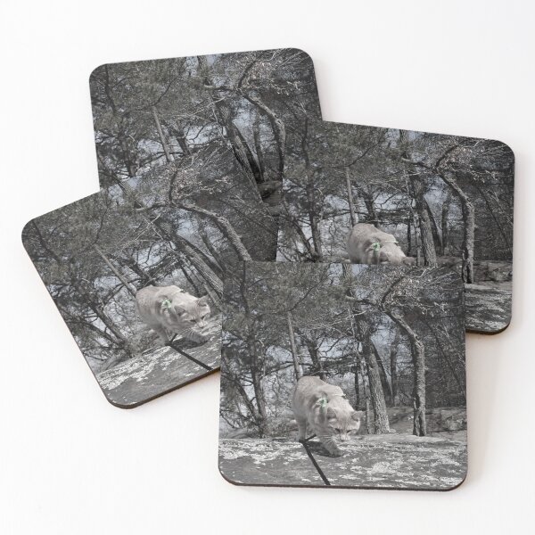 Item preview, Hiking with Symba designed and sold by JanelSymba.
