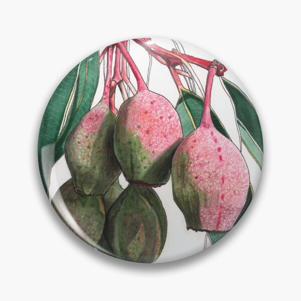 Item preview, Gum Nuts Eucalyptus Australian Flora  designed and sold by blueidesign.