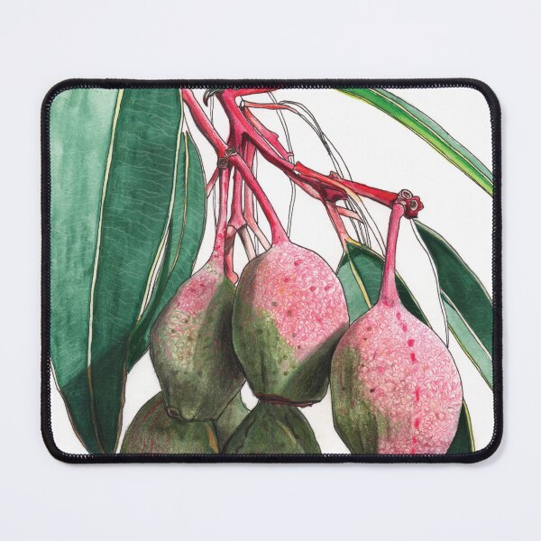 Item preview, Gum Nuts Eucalyptus Australian Flora designed and sold by blueidesign.