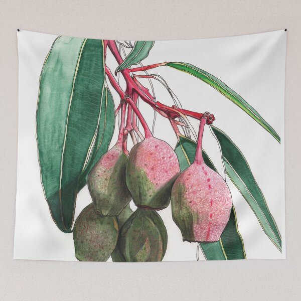 Item preview, Gum Nuts Eucalyptus Australian Flora  designed and sold by blueidesign.
