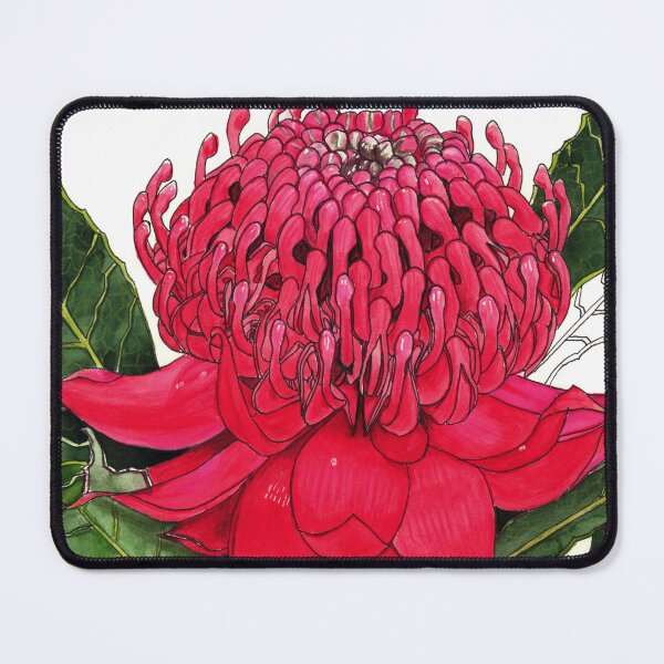 Item preview, Australian Waratah flower red designed and sold by blueidesign.