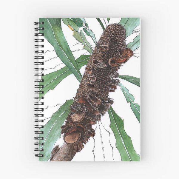 Artikelvorschau, Samenkapsel der australischen Banksia entworfen und verkauft von blueidesign.