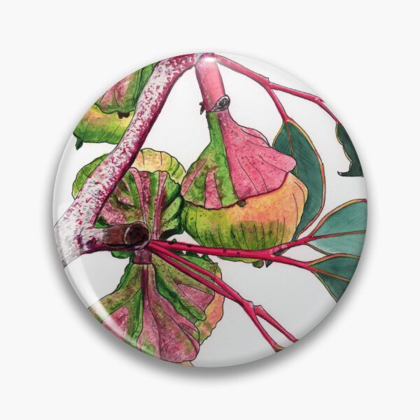 Item preview, Eucalyptus Mallee Flower Buds designed and sold by blueidesign.