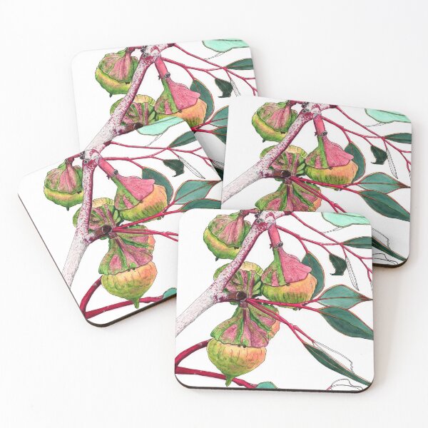 Item preview, Eucalyptus Mallee Flower Buds designed and sold by blueidesign.