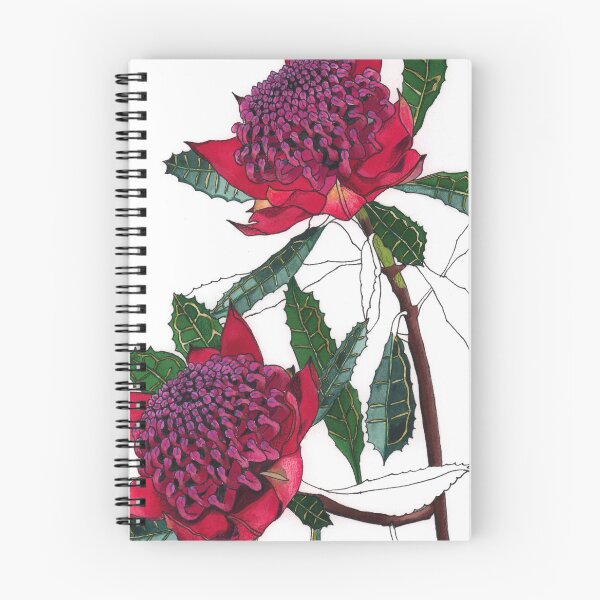 Item preview, Waratah flowers pink designed and sold by blueidesign.