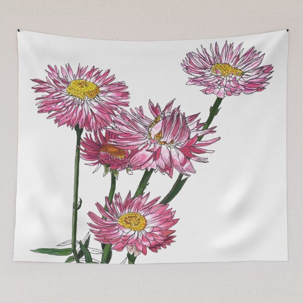 Item preview, Paper daisies pink Australian flora designed and sold by blueidesign.