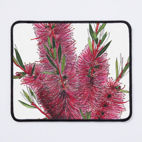 Item preview, Bottlebrush flowers pink Australian flora designed and sold by blueidesign.