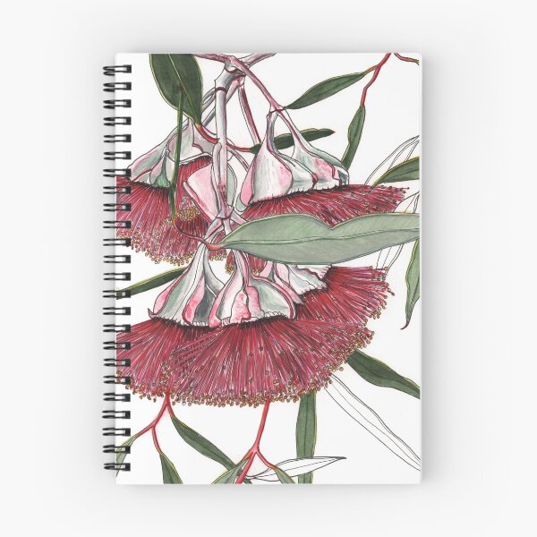 Aperçu de l'œuvre Eucalyptus Mallee fleurs roses créée et vendue par blueidesign.
