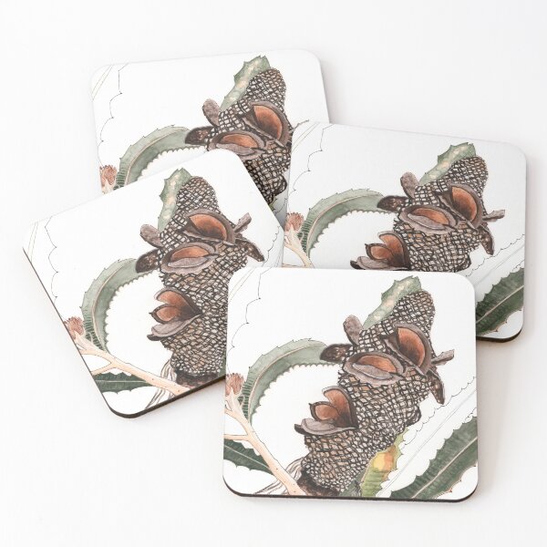 Item preview, Banksia Pod Australian Native Plant designed and sold by blueidesign.