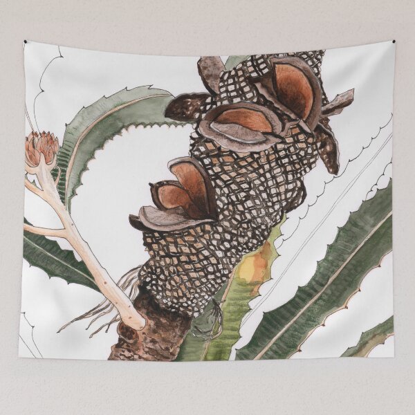 Aperçu de l'œuvre Plante indigène australienne de Banksia Pod créée et vendue par blueidesign.