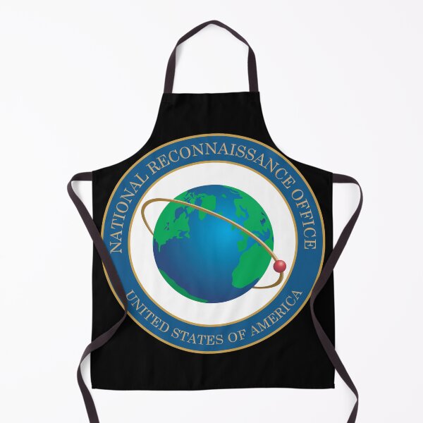 Item preview, National Reconnaissance Office (NRO) X 300 designed and sold by Military Insignia Products.