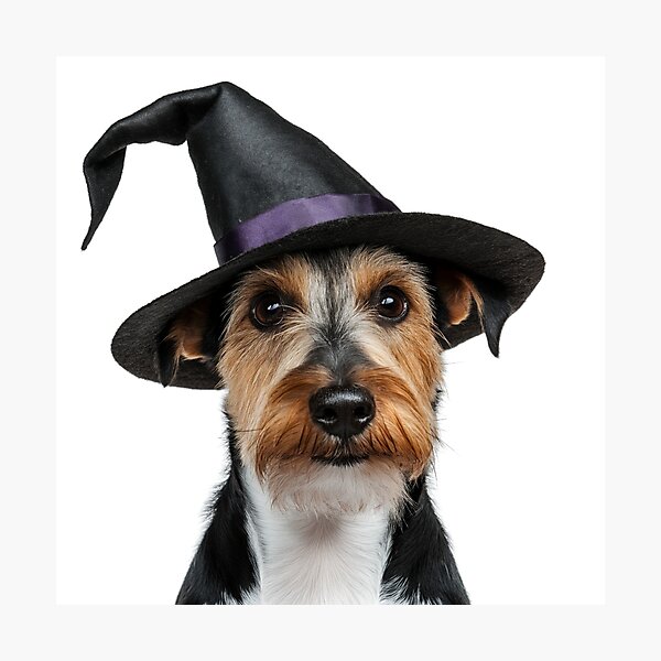 Item preview, Wire Fox Terrier dog Wearing Halloween Witch Hat designed and sold by LazyOwlStore.