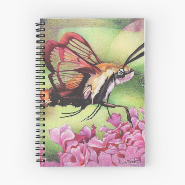 Artikelvorschau, Fuzzy Bee Moth auf einem bunten Hintergrund entworfen und verkauft von DingbatDesigns.