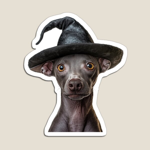 Vista previa del artículo con la obra «Perro Xoloitzcuintli con sombrero de bruja de Halloween», diseñado y vendido por LazyOwlStore.