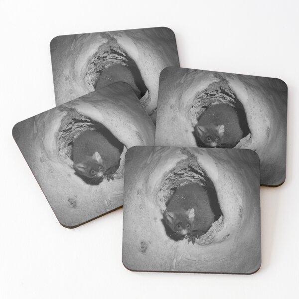 Item preview, Greater Glider Emerging from a Tree Hollow designed and sold by anagracanin.