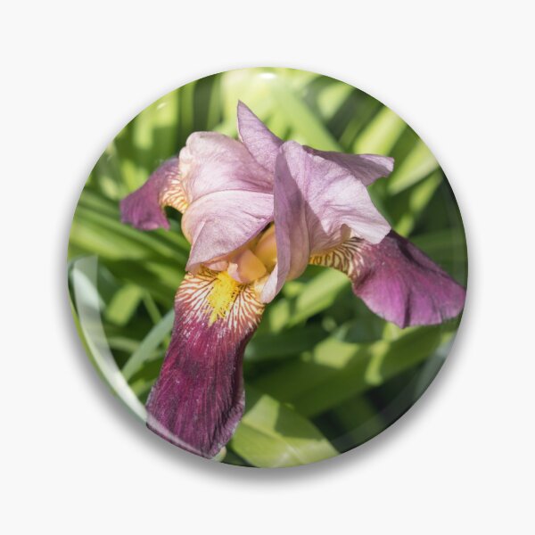 Item preview, Elegant Two-tone Iris Blossom designed and sold by Georgia Mizuleva.