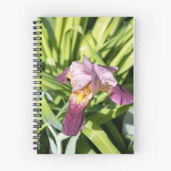 Item preview, Elegant Two-tone Iris Blossom designed and sold by Georgia Mizuleva.
