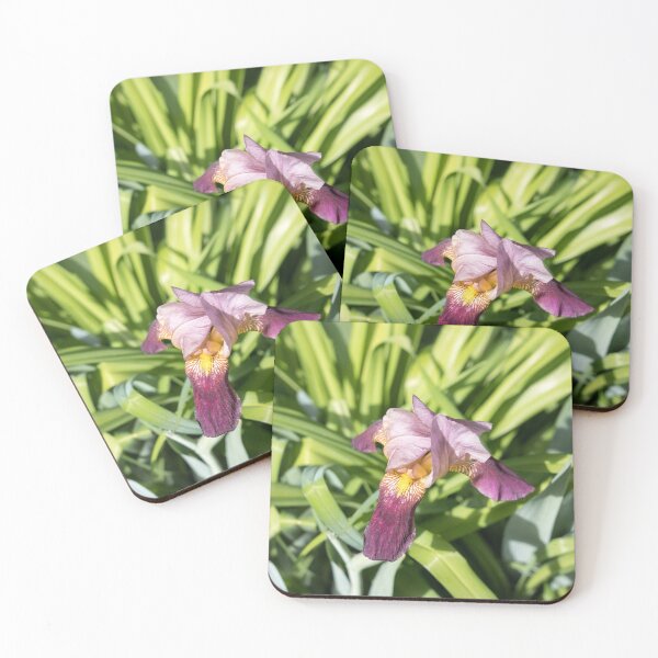 Item preview, Elegant Two-tone Iris Blossom designed and sold by Georgia Mizuleva.