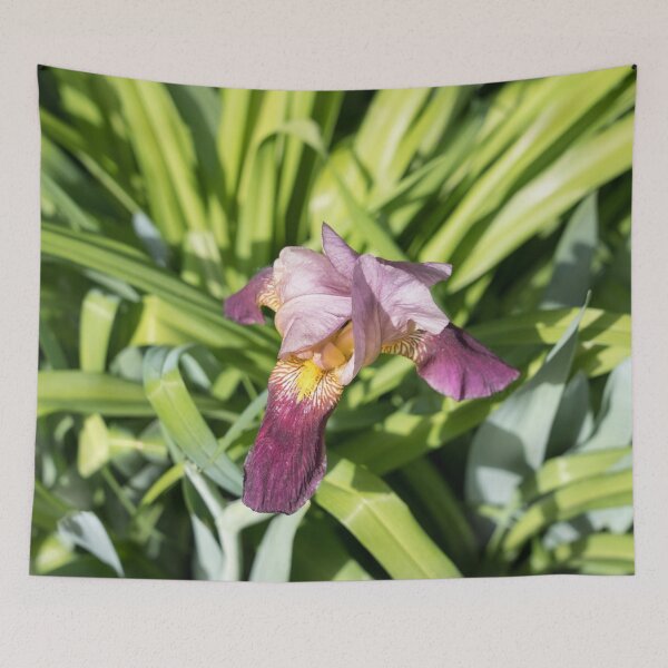 Item preview, Elegant Two-tone Iris Blossom designed and sold by Georgia Mizuleva.