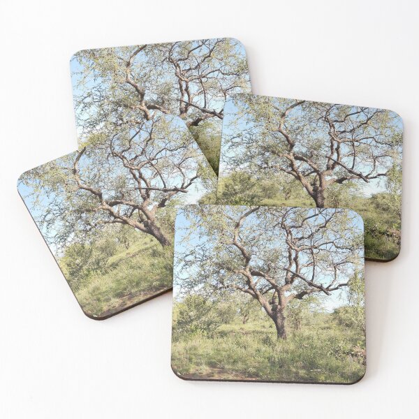 Item preview, An African decidous tree canopy with branches! designed and sold by Jamesk82.