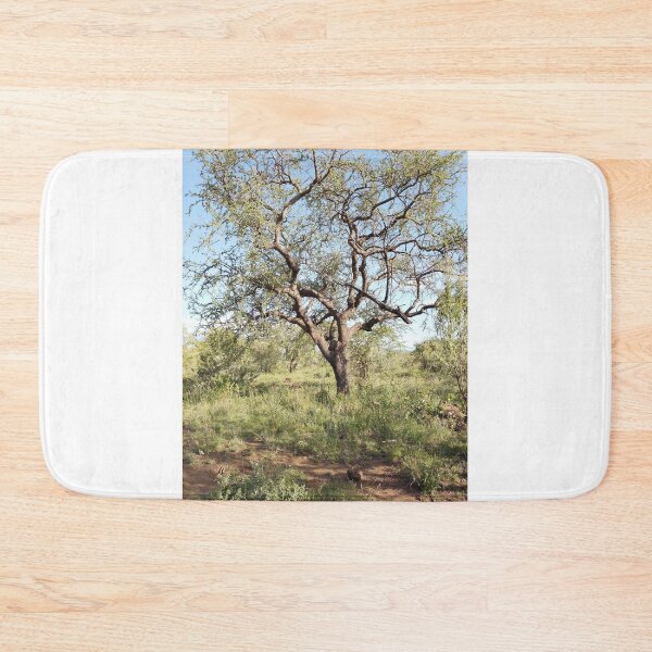 Item preview, An African decidous tree canopy with branches! designed and sold by Jamesk82.
