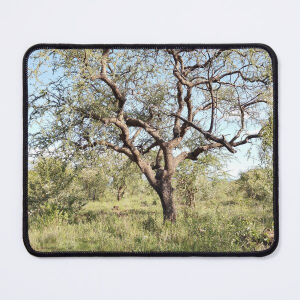 Item preview, An African decidous tree canopy with branches! designed and sold by Jamesk82.