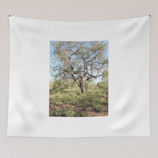 Item preview, An African decidous tree canopy with branches! designed and sold by Jamesk82.