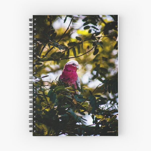 Item preview, Galah in a Tree designed and sold by Geoff Treagus.