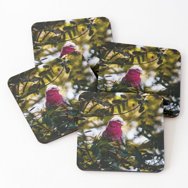 Item preview, Galah in a Tree designed and sold by Geoff Treagus.