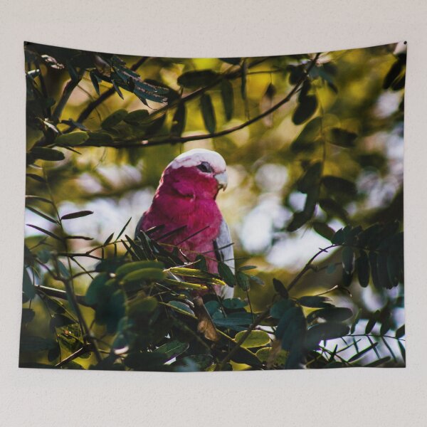 Item preview, Galah in a Tree designed and sold by Geoff Treagus.