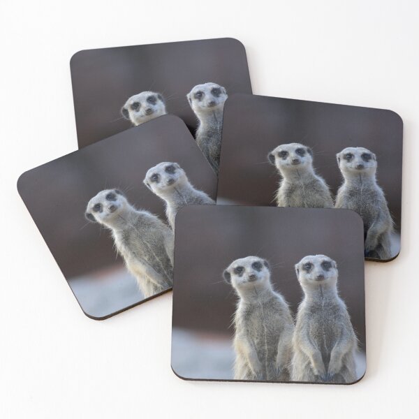 Item preview, Alert together – Meerkats in a double pack designed and sold by Dunadagra.