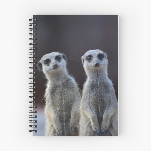 Item preview, Alert together – Meerkats in a double pack designed and sold by Dunadagra.