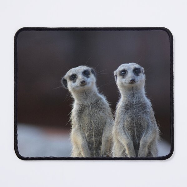 Item preview, Alert together – Meerkats in a double pack designed and sold by Dunadagra.