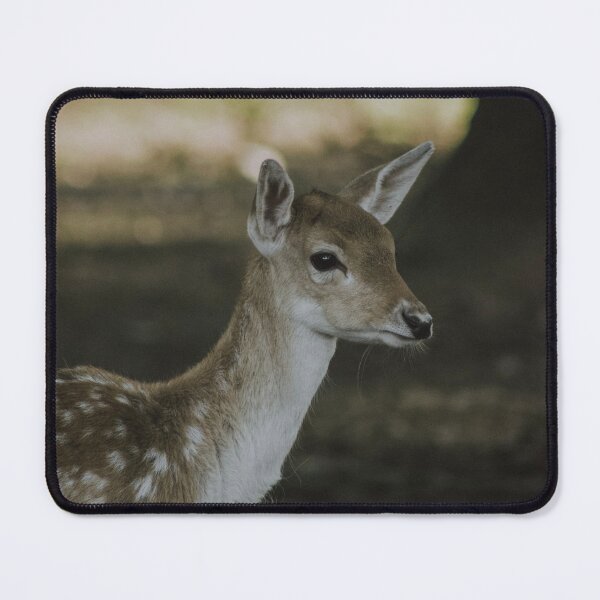 Item preview, Gentle look of the fallow deer calf in the forest designed and sold by Dunadagra.