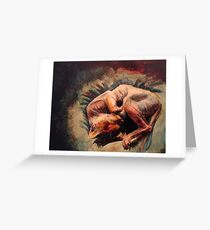 Sphynx cat Greeting Card