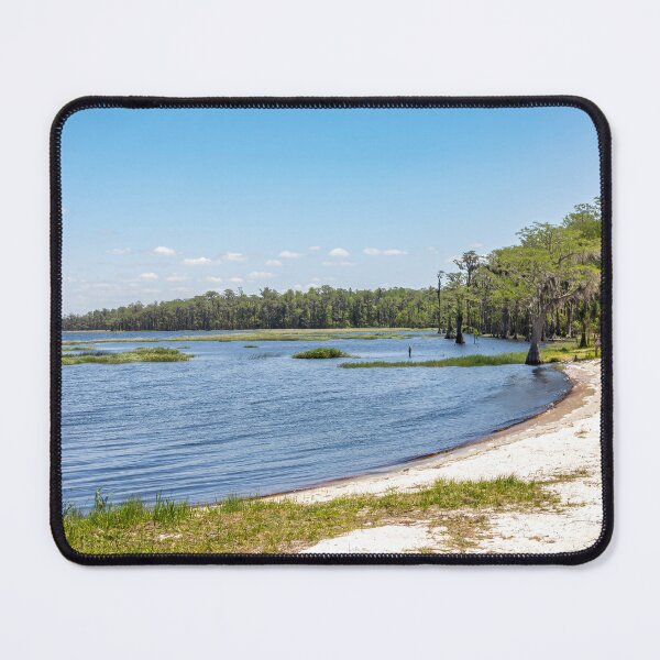 Item preview, Lake Louisa State Park, Florida 13 designed and sold by jrtwynam.