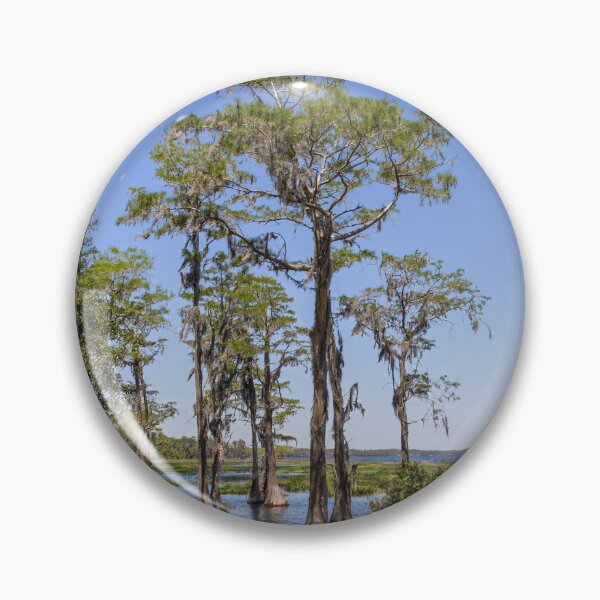 Item preview, Lake Louisa State Park, Florida 14 designed and sold by jrtwynam.