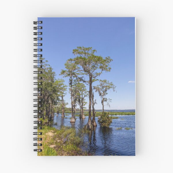 Item preview, Lake Louisa State Park, Florida 14 designed and sold by jrtwynam.