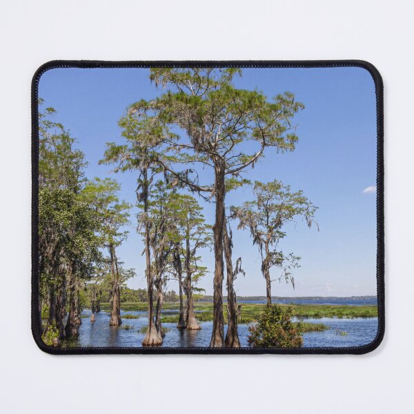 Item preview, Lake Louisa State Park, Florida 14 designed and sold by jrtwynam.