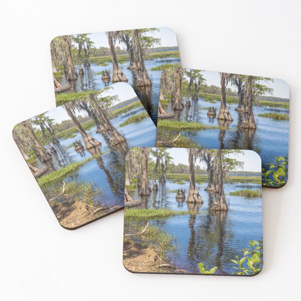 Item preview, Lake Louisa State Park, Florida 16 designed and sold by jrtwynam.