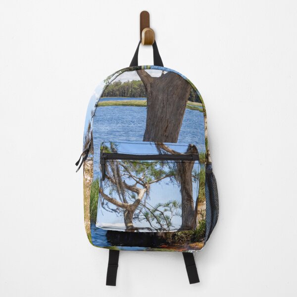 Item preview, Lake Louisa State Park, Florida 20 designed and sold by jrtwynam.